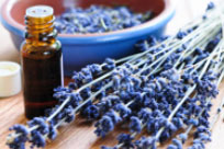 Find Witney Aromatherapy