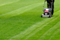 Find Salisbury Lawn Mowing